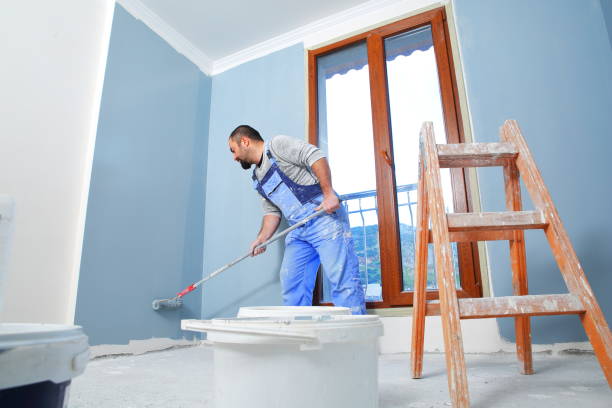 Potomac Mills, VA Mold Removal Company